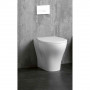 /wc-pmr/cuvette-de-wc-bariatrique-avec/sans-abattant-p-6003337.2-600x600.jpg