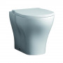/wc-pmr/cuvette-de-wc-bariatrique-avec/sans-abattant-p-6003337.3-600x600.jpg